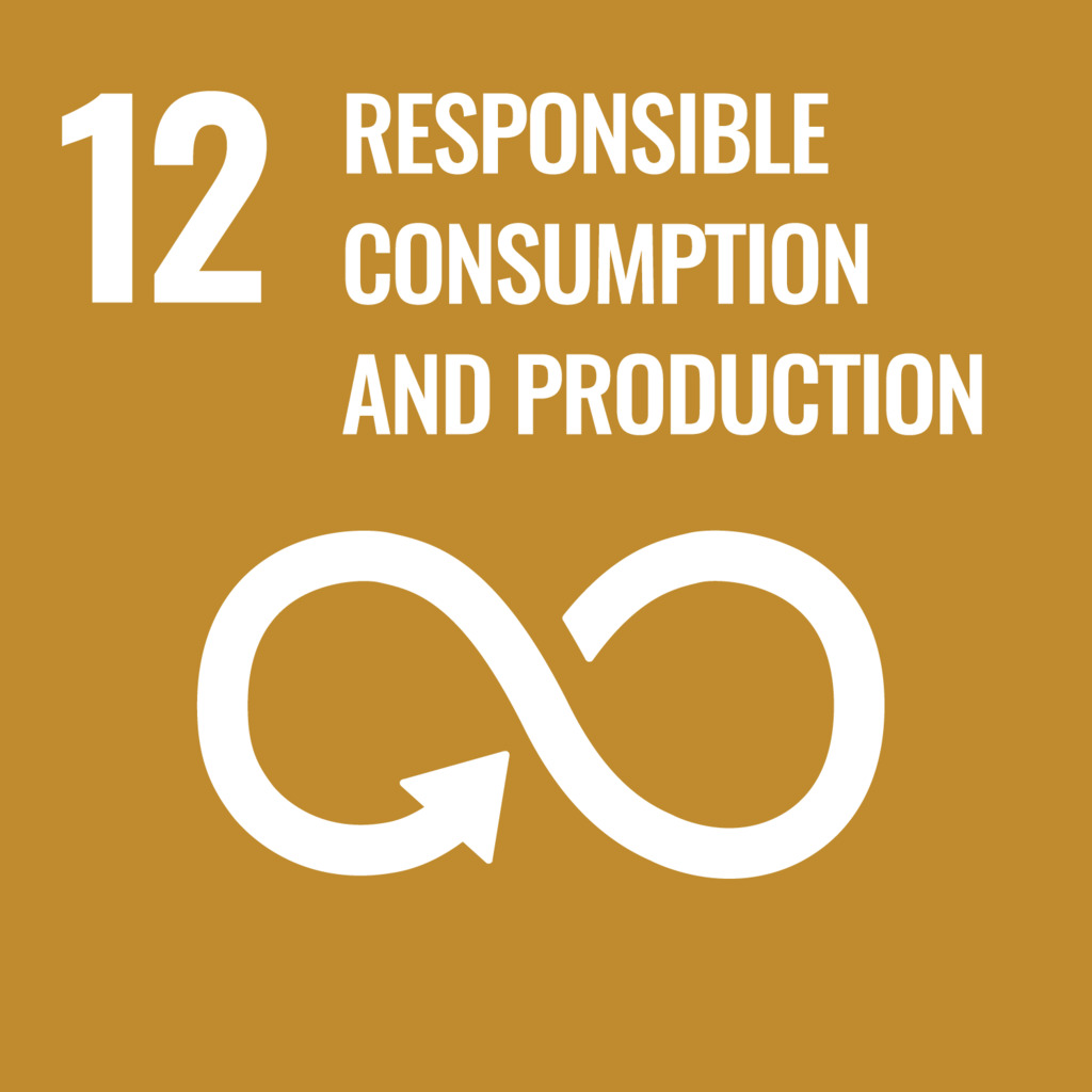 SDG 12 Logo SDG 12 Logo